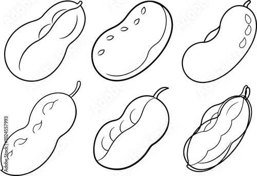 set of lima bean vector illustration line art