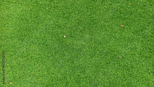 There are a few fallen leaves on the artificial turf, artificial turf background.