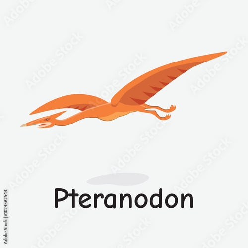 Pteranodon Dinosaur Vector Illustration with Flying Reptile
