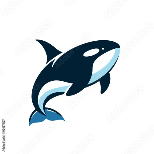 Orca killer whale  isolated vector illustration	
