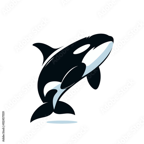 Orca killer whale  isolated vector illustration	
