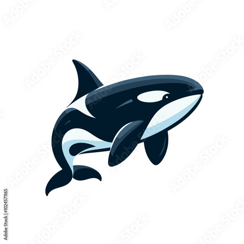 Orca killer whale  isolated vector illustration	
