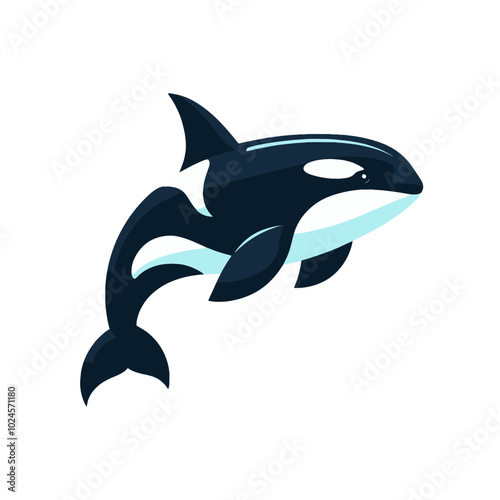 Orca killer whale  isolated vector illustration	
