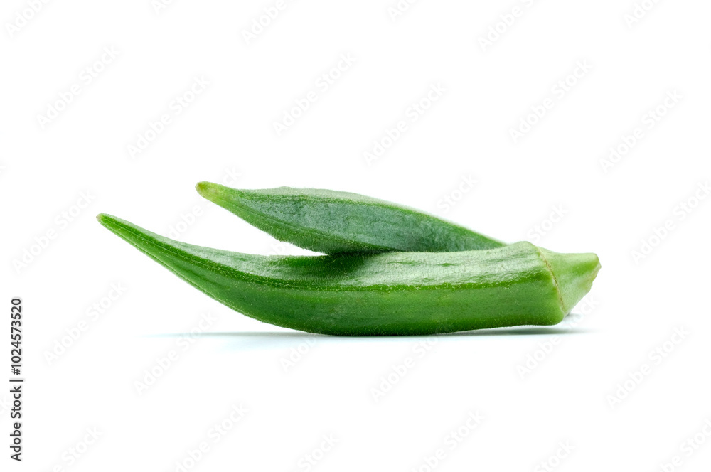 Group of fresh fruits of okra or Abelmoschus esculentus isolated on white background stack close up, raw okra is rich source of dietary fiber and vitamin C and K Group of fresh fruits of okra or Abelmoschus esculentus isolated on white background stack close up, raw okra is rich source of dietary fiber and vitamin C and K