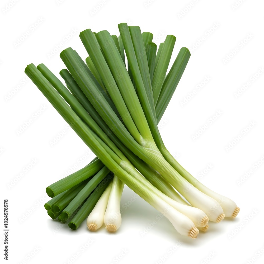 Bunch of green onions isolated on white background, food and vegetable concept Bunch of green onions isolated on white background, food and vegetable concept