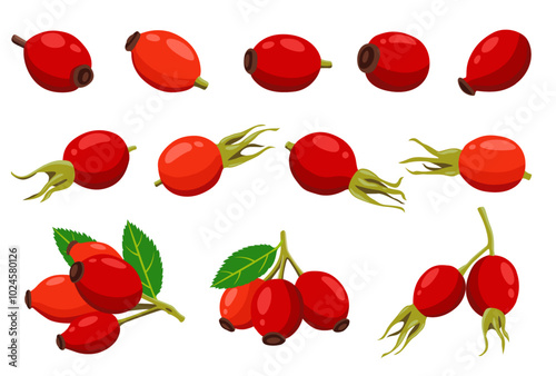 Rose Hip vector logo isolated on white background.