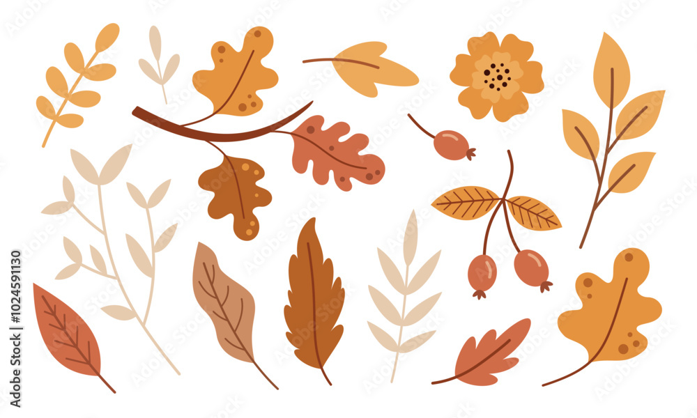 Autumn leaves and flowers set, cute hand drawn seasonal objects. Vector illustration in flat style