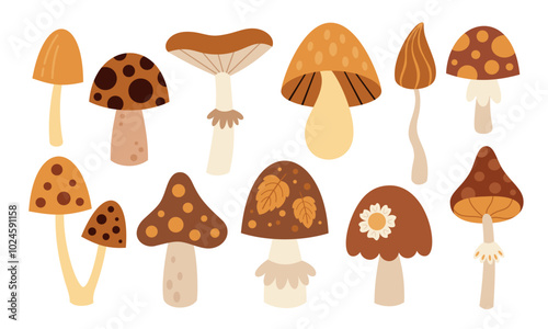 Mushroom set, cute hand drawn seasonal objects. Vector illustration in flat style