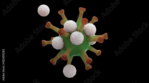 White blood cells are attacking and killing green virus cell with red tentacles. with an alpha channel
