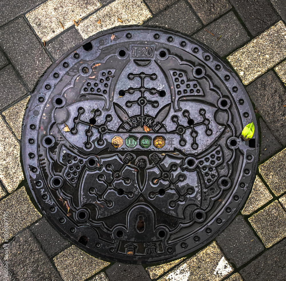 Intricately Designed Japanese Manhole Cover Intricately Designed Japanese Manhole Cover