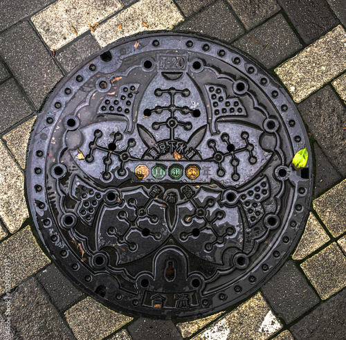 Photography Intricately Designed Japanese Manhole Cover