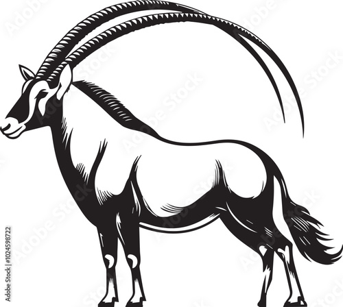 Arabian oryx big horns vector