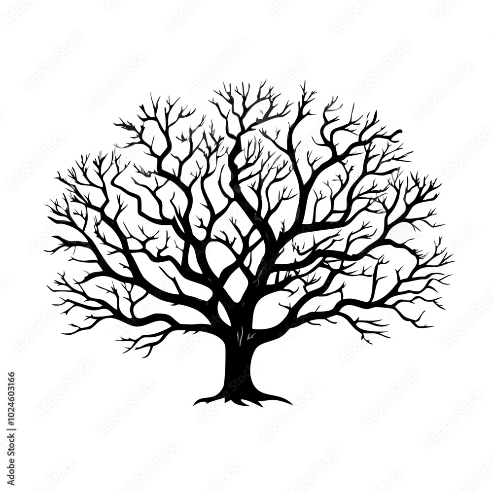 Obraz premium ebony-tree-silhouette