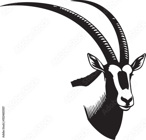 Arabian oryx big horns vector