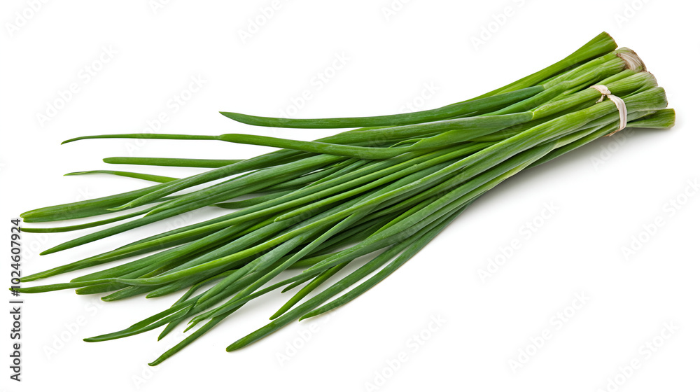 Several stalks of a green onion closeup on a light background,Single fresh leek isolated on white background for optimal visibility and search relevance
Several stalks of a green onion closeup on a light background,Single fresh leek isolated on white background for optimal visibility and search relevance