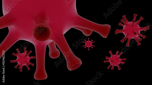 Red virus cells slow flow and rotation with an alpha channel