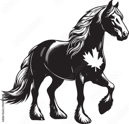 Cheval Canadian Vector