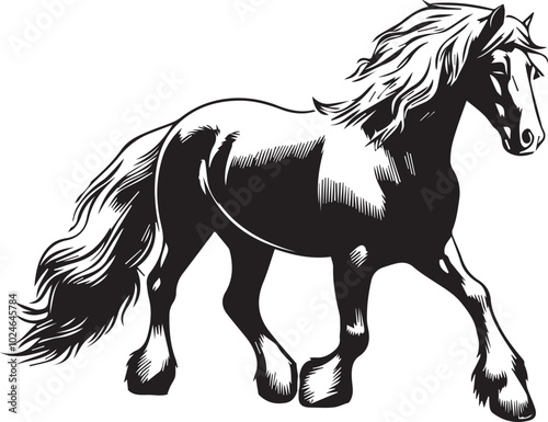 Cheval Canadian Vector