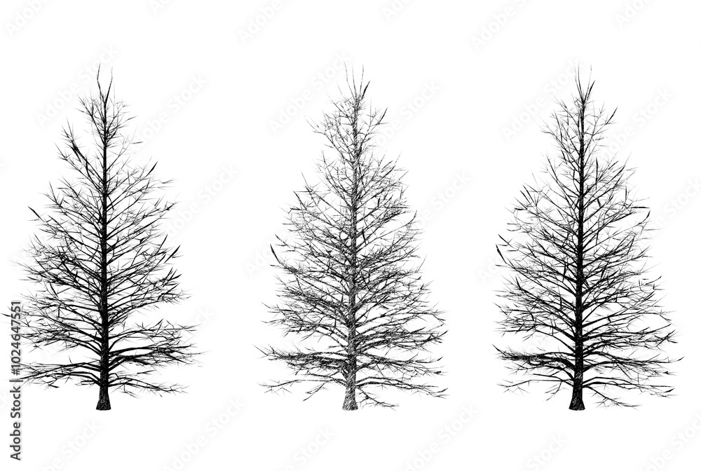 custom made wallpaper toronto digitalThe trees are represented with varying levels of detail, possibly demonstrating different levels of density or transparency, often used in visual simulations or environmental design.