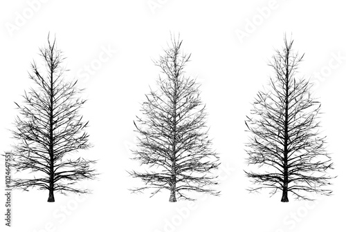 Wallpaper Mural The trees are represented with varying levels of detail, possibly demonstrating different levels of density or transparency, often used in visual simulations or environmental design.  Torontodigital.ca