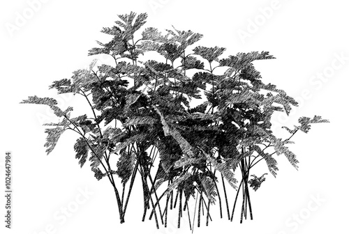 Wallpaper Mural  The stems rise from the ground, supporting the broad leaves above, making this design suitable for jungle or tropical environments. Torontodigital.ca