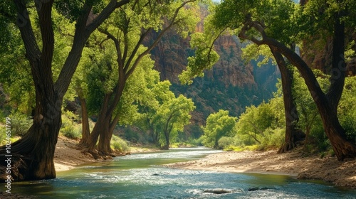 Zion Narrows trail, Utah
