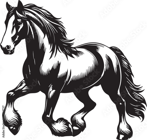 Cheval Canadian Vector