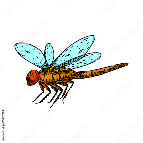 wings dragonfly hand drawn. flight nature, pond predator, aquatic biodiversity wings dragonfly vector sketch. isolated color illustration