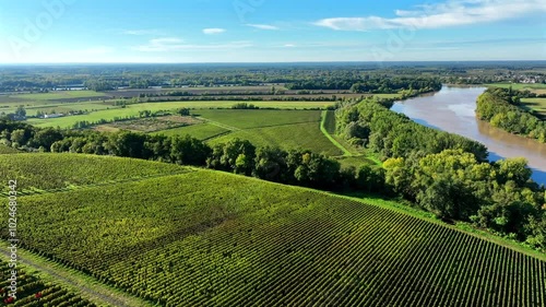Aerial view Bordeaux Vineyard at sunrise, film by drone in summer, Entre deux mers, Langoiran, High quality 4k footage