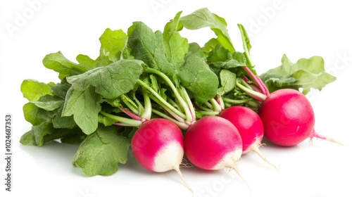 Fresh radishes on white