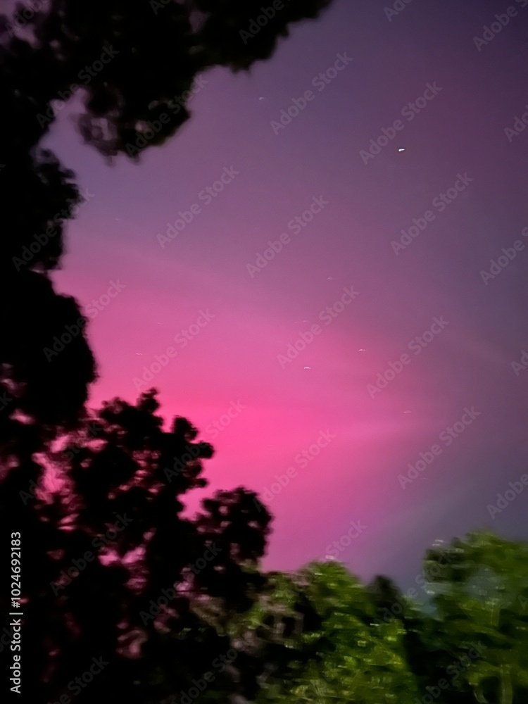 Fototapeta premium Northern Polar Lights, Aurora Boréales Natural Phenomena, October 11, 2024, North Smithfield, RI Rhode Island USA. Iridescent Glowing Illumination Shining in Forest on Night Sky. Vivid Pink Red Colors