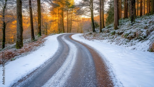 Snowy Forest Road At Sunrise