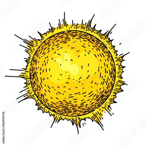 sunset sun hand drawn. sunshine rays, energy star, heliosphere photosynthesis sunset sun vector sketch. isolated color illustration