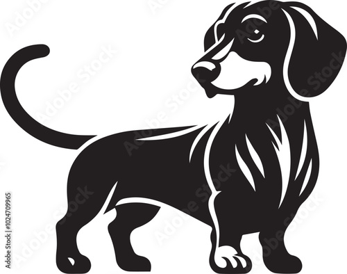 Dachshund dog cute vector