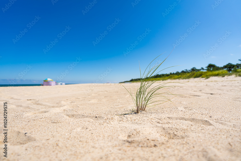 Empty beach. Close-up of beautiful white sand on beach on sunny cloudless day. Travel destination in summertime.