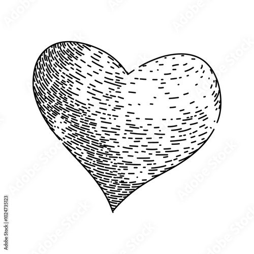 pulse heart hand drawn. rhythm ventricle, aorta artery, vein circulation pulse heart vector sketch. isolated black illustration