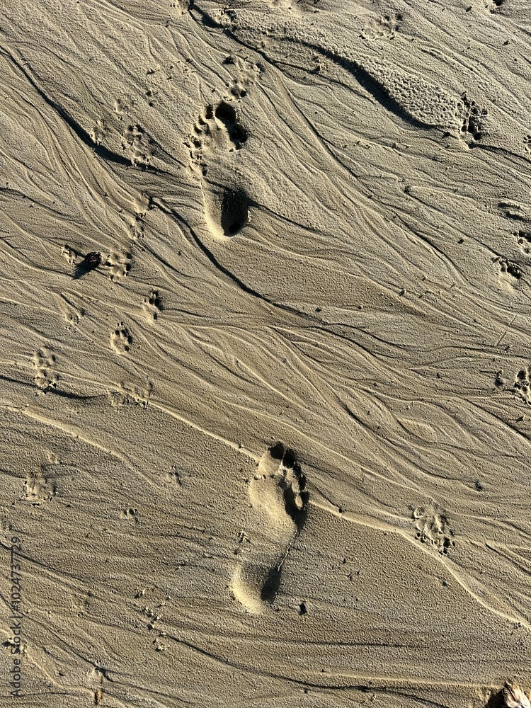 Spuren im Sand Fußabdruck