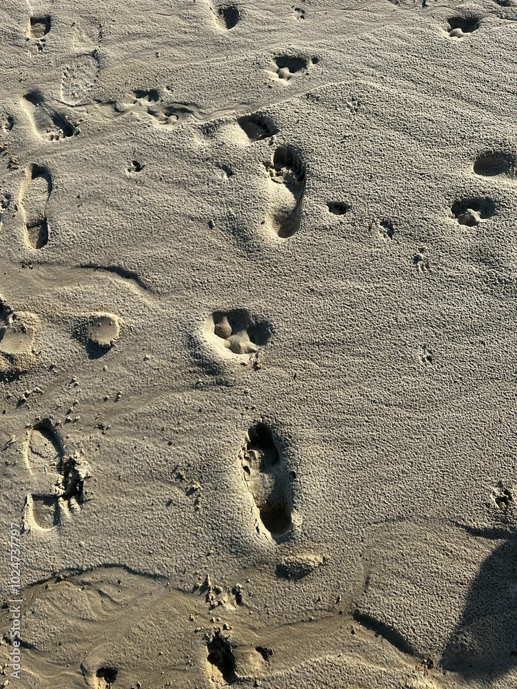 Spuren im Sand Fußabdruck