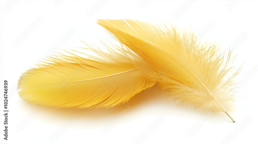 Two fluffy yellow feathers rest on a white background, appearing light and soft. The feathers look delicate and elegant, creating a sense of lightness and airiness