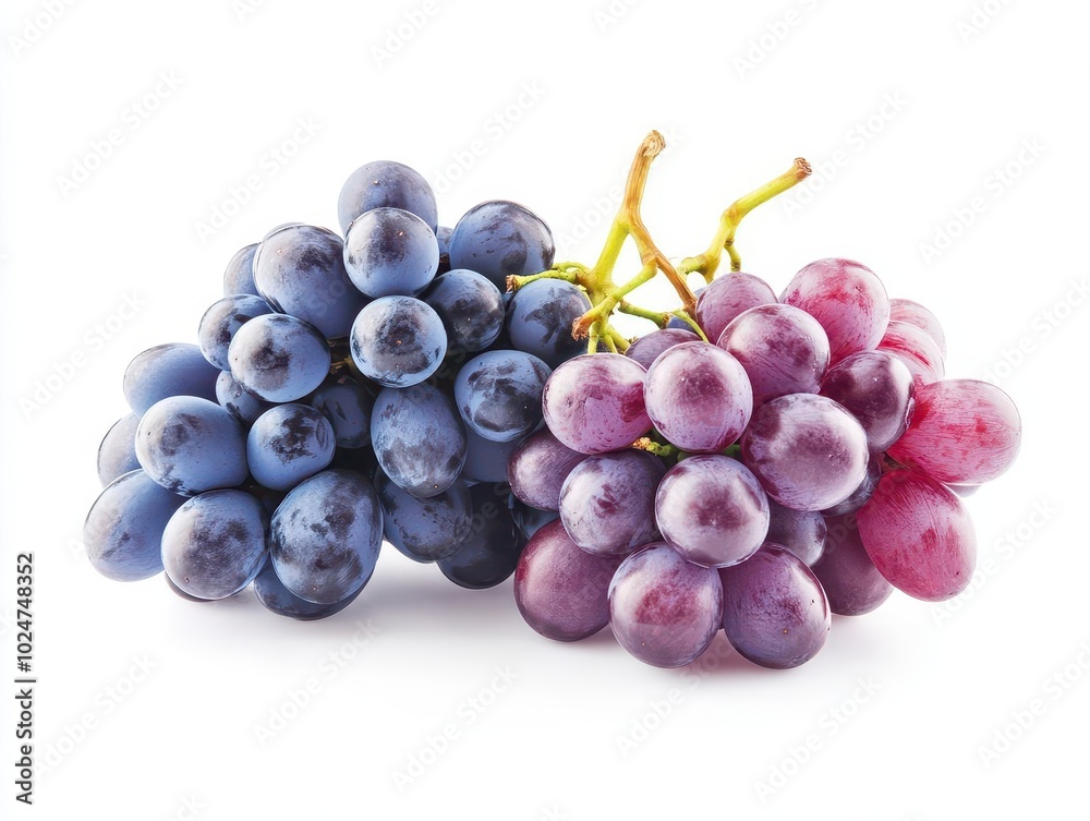 clusters of purple and blue grapes rest against a pristine white background, showcasing their rich color and texture, evoking freshness and the essence of nature's bounty clusters of purple and blue grapes rest against a pristine white background, showcasing their rich color and texture, evoking freshness and the essence of nature's bounty