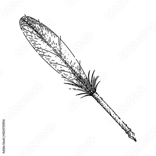 writing quill pen hand drawn. ink feather, calligraphy dip, parchment scroll writing quill pen vector sketch. isolated black illustration