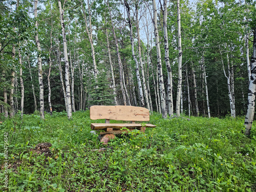A calm, tranquil and peaceful non-urban scene of one park bench made from planks of a tree in the middle of a meadow surrounded by trees.