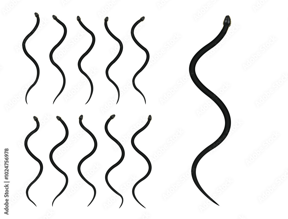 Black Rat Snake Animal Animation Sequence Cartoon Vector Black Rat Snake Animal Animation Sequence Cartoon Vector
