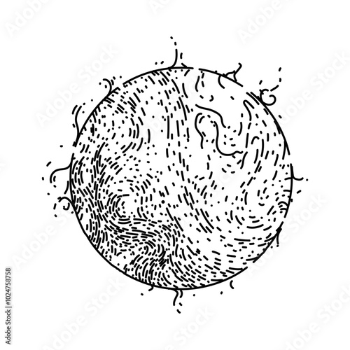sunshine sun hand drawn. rays energy, star heliosphere, photosynthesis ultraviolet sunshine sun vector sketch. isolated black illustration