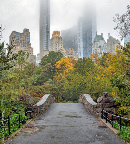 Photography Gapstow Bridge in Central Park, early morning