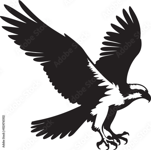 Osprey Bird Silhouette Art Design Illustration