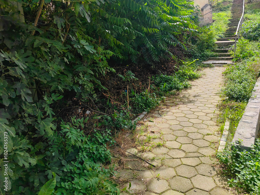 Fototapeta premium Green-Framed Pathway to Staircase