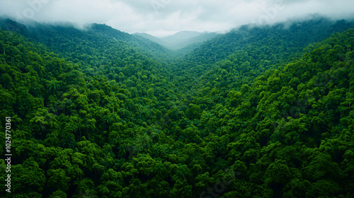 Vast rainforest valley stretching endlessly, covered in dense, vibrant green trees, with mist rolling over distant hills.