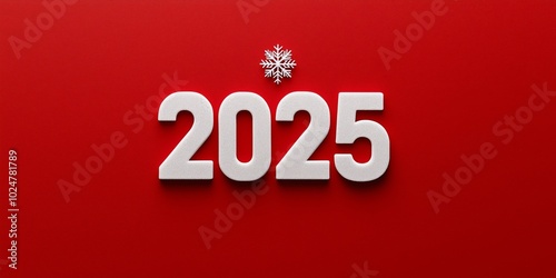 Clean white numbers "2025" on a solid red background with a single small snowflake.