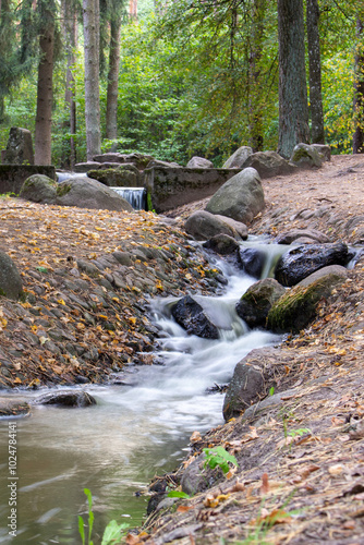 A streamlet in the park